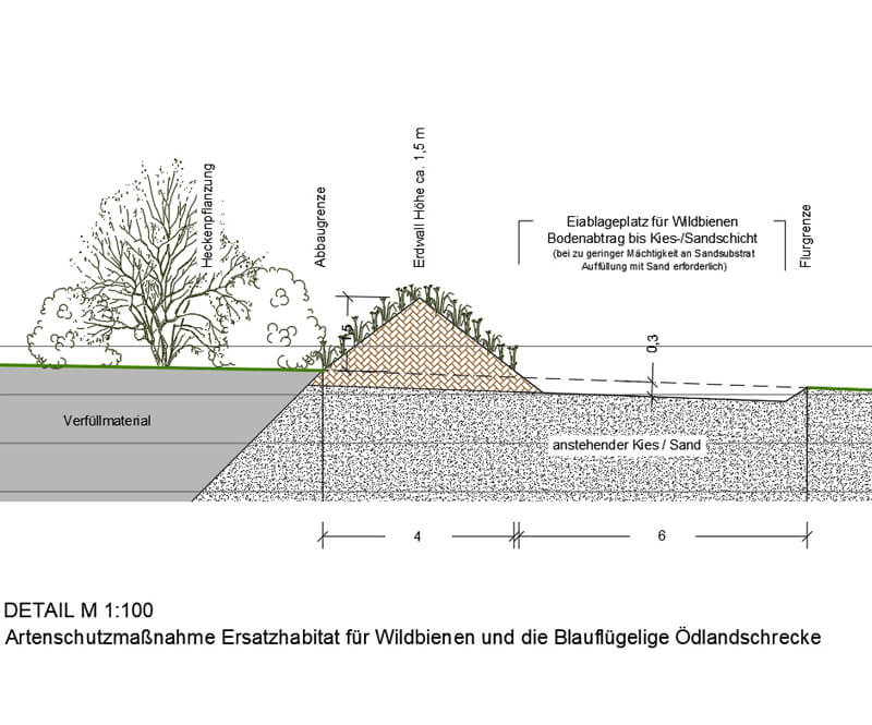 Gabriele Schulz Artenschutz Detailplanung für ein Wildbienenhabitat als Artenschutzmaßnahme