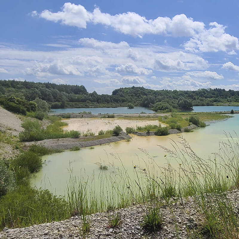 Schulz Landschaftsplanung Baggersee nach erfolgter Rekultivierung mit Flachwasserzonen und Inseln
